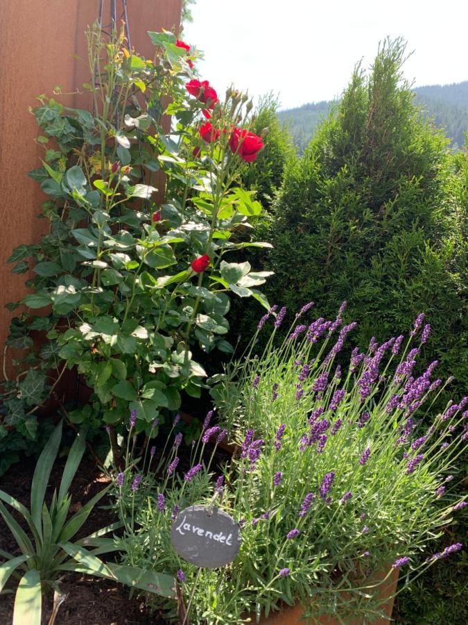 Die Filzmooserin Apartments Dış mekan fotoğraf